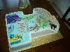 bcake9