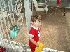 xmas069